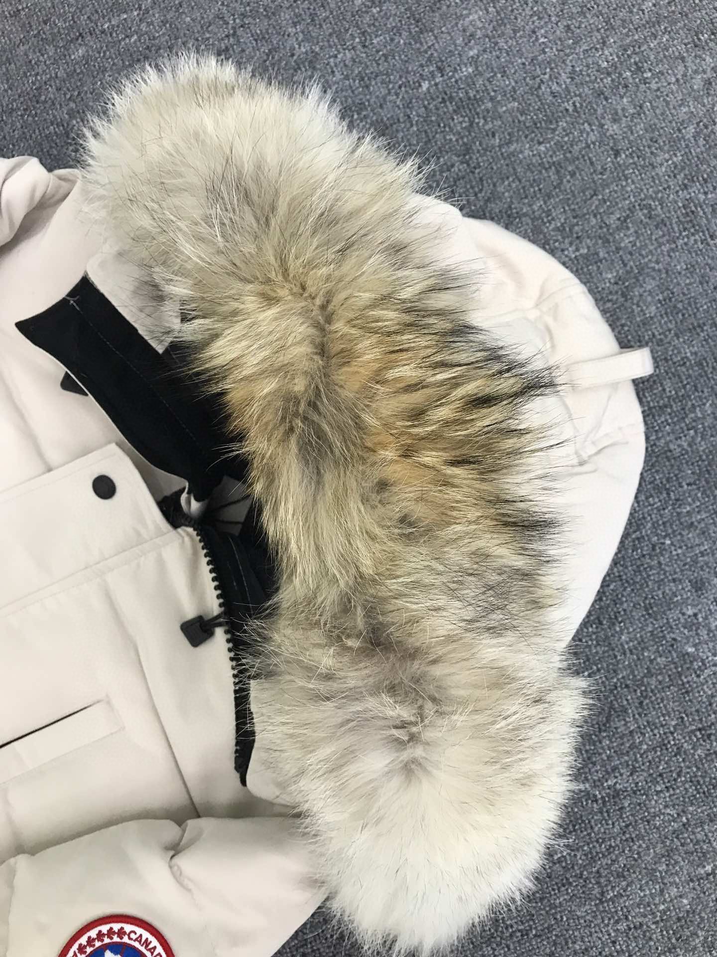 Canada Goose Down Jackets